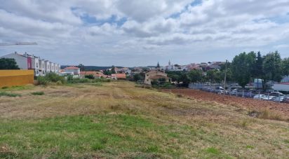 Terrain à bâtir à Cadaval e Pêro Moniz de 6 173 m²