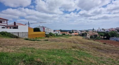 Terrain à bâtir à Cadaval e Pêro Moniz de 6 173 m²