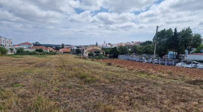 Terrain à bâtir à Cadaval e Pêro Moniz de 6 173 m²