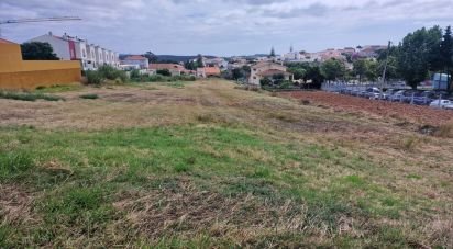 Terrain à bâtir à Cadaval e Pêro Moniz de 6 173 m²