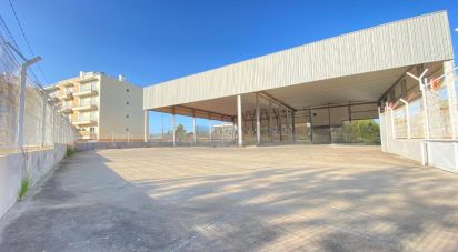 Pavilion T0 in Pechão of 1,850 m²