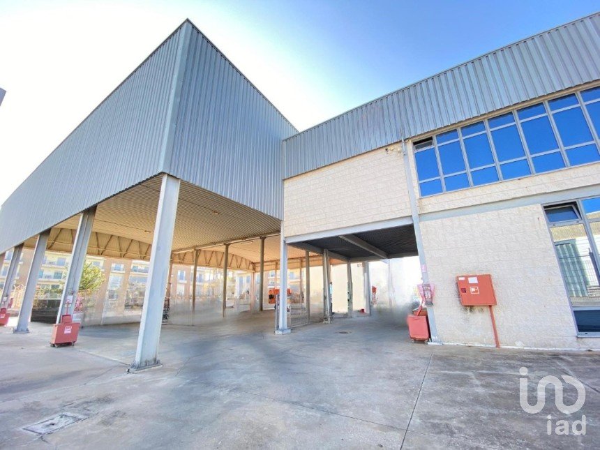 Pavilion T0 in Pechão of 1,850 m²