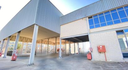 Pavilion T0 in Pechão of 1,850 m²