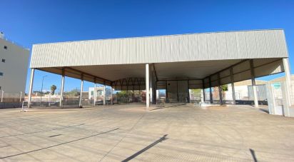 Pavilion T0 in Pechão of 1,850 m²