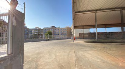 Pavilion T0 in Pechão of 1,850 m²