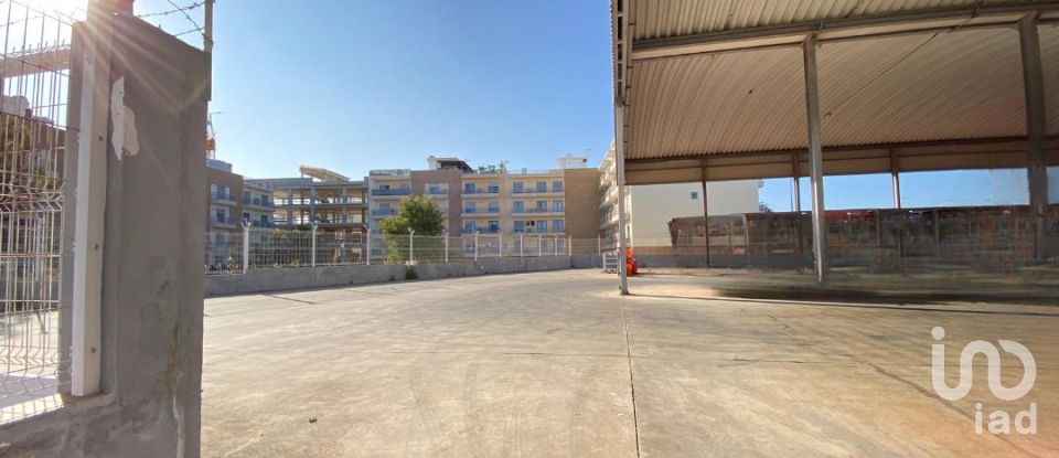 Pavilion T0 in Pechão of 1,850 m²