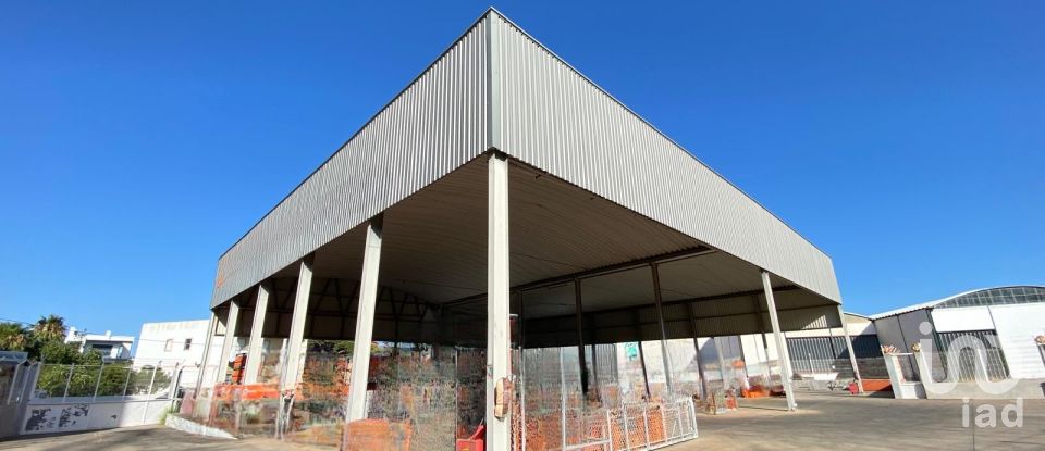 Pavilion T0 in Pechão of 1,850 m²