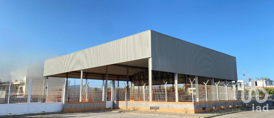 Pavilion T0 in Pechão of 1,850 m²