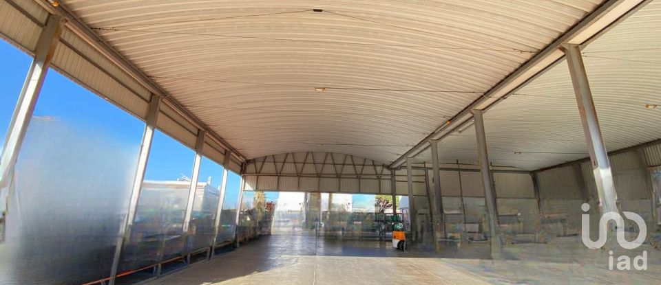 Pavilion T0 in Pechão of 1,850 m²