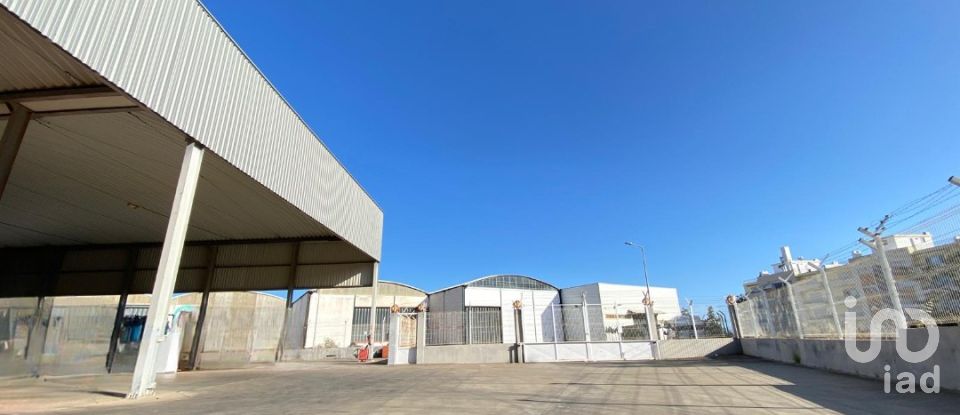 Pavilion T0 in Pechão of 1,850 m²