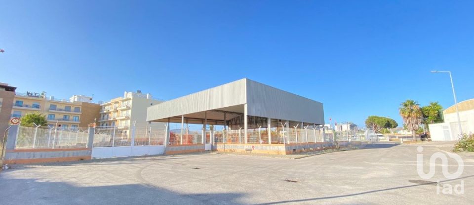 Pavilion T0 in Pechão of 1,850 m²