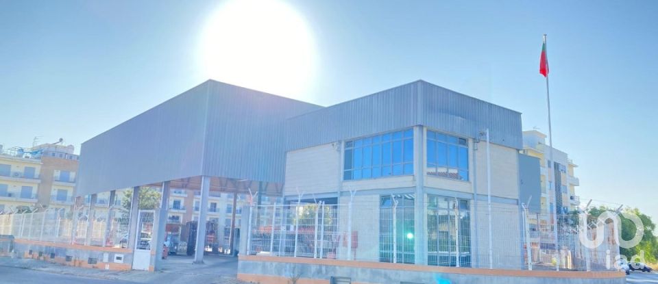 Pavilion T0 in Pechão of 1,850 m²