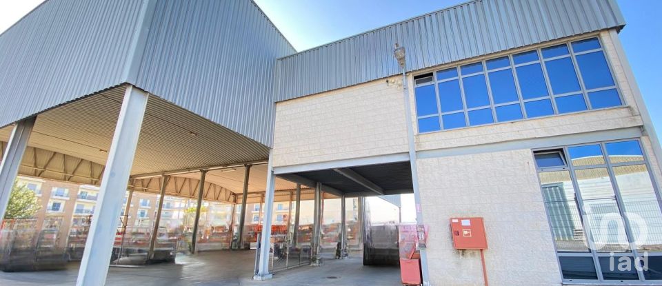 Pavilion T0 in Pechão of 1,850 m²