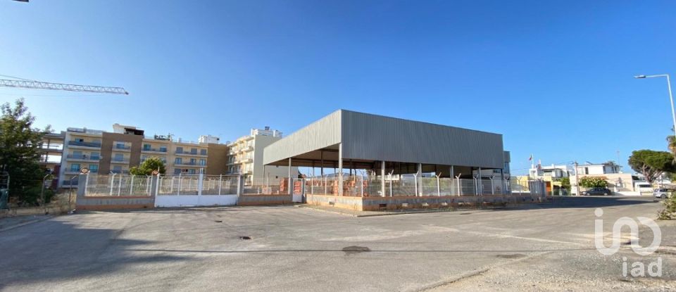 Pavilion T0 in Pechão of 1,850 m²