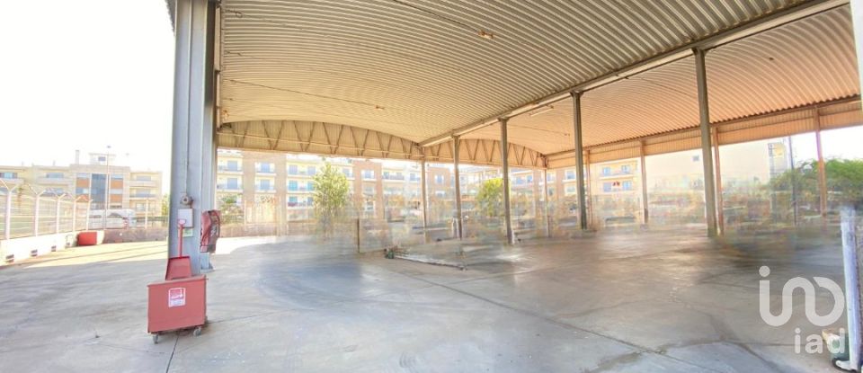 Pavilion T0 in Pechão of 1,850 m²