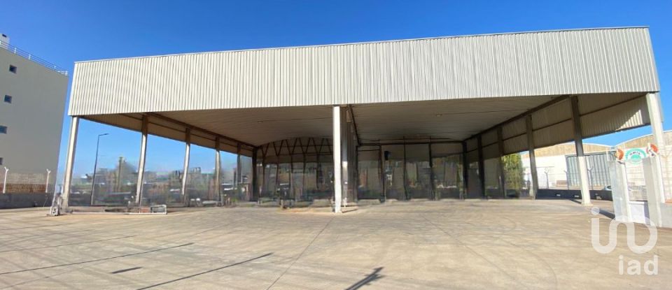 Pavilion T0 in Pechão of 1,850 m²