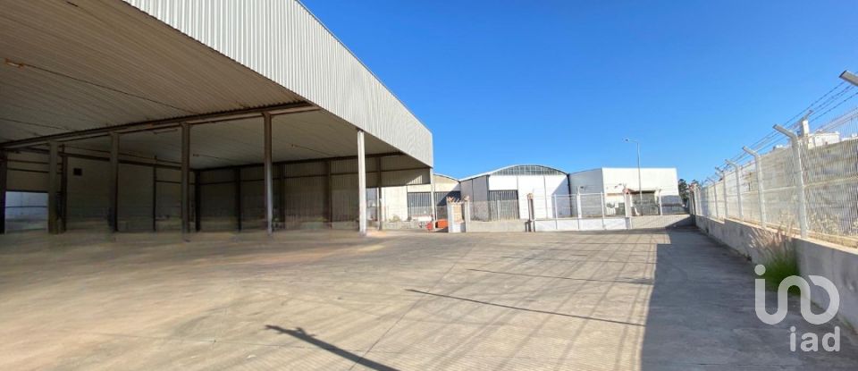 Pavilion T0 in Pechão of 1,850 m²