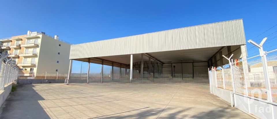 Pavilion T0 in Pechão of 1,850 m²