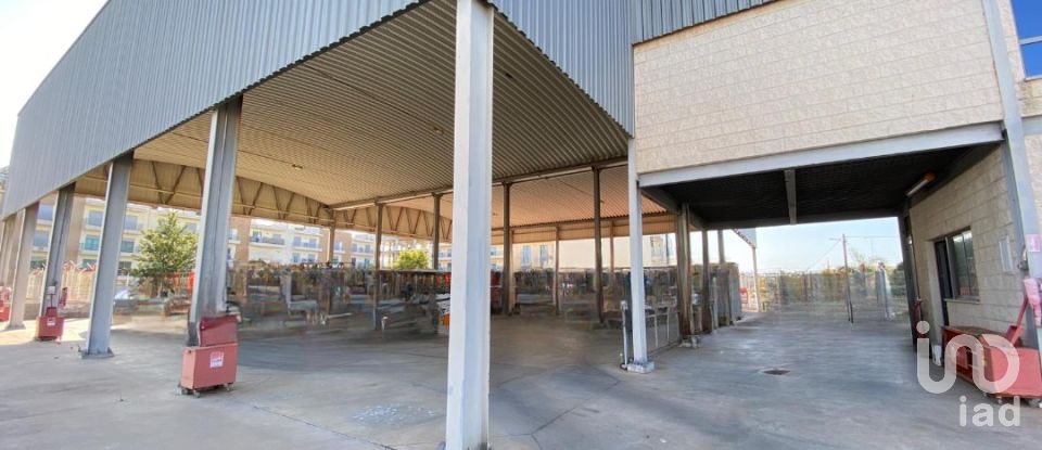 Pavilion T0 in Pechão of 1,850 m²