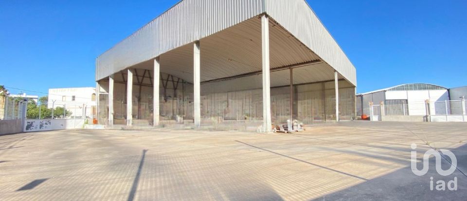 Pavilion T0 in Pechão of 1,850 m²