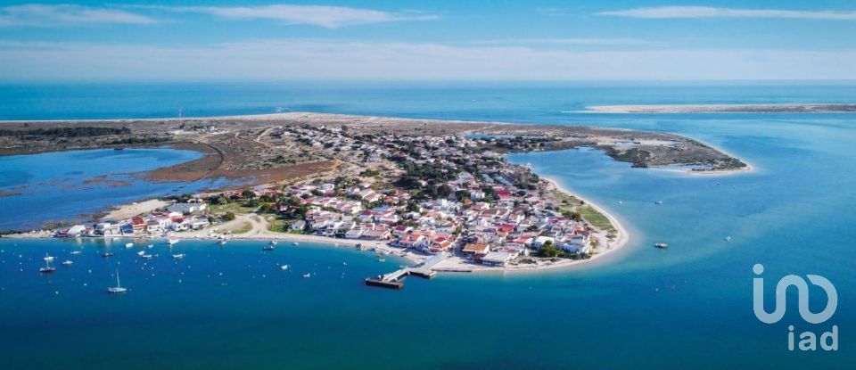 Pavilion T0 in Pechão of 1,850 m²