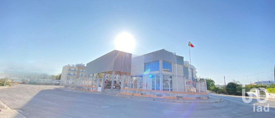 Pavilion T0 in Pechão of 1,850 m²