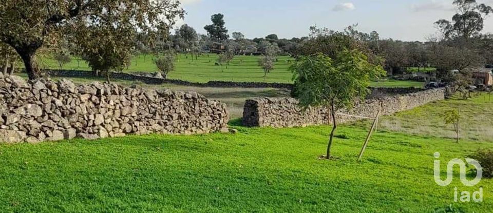 Farm T2 in Urra of 231 m²