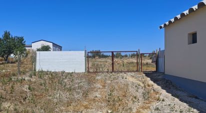 Terrain à bâtir à Branca de 7 020 m²