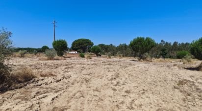 Terrain à bâtir à Branca de 7 020 m²