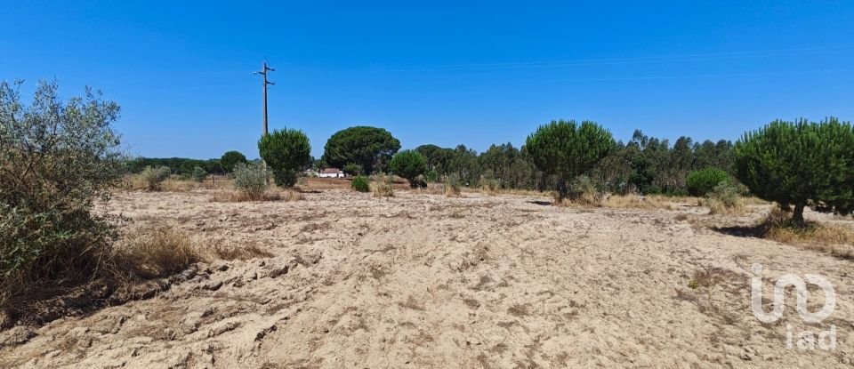 Terreno urbano em Branca de 7 020 m²