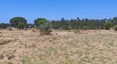 Terrain à bâtir à Branca de 7 020 m²