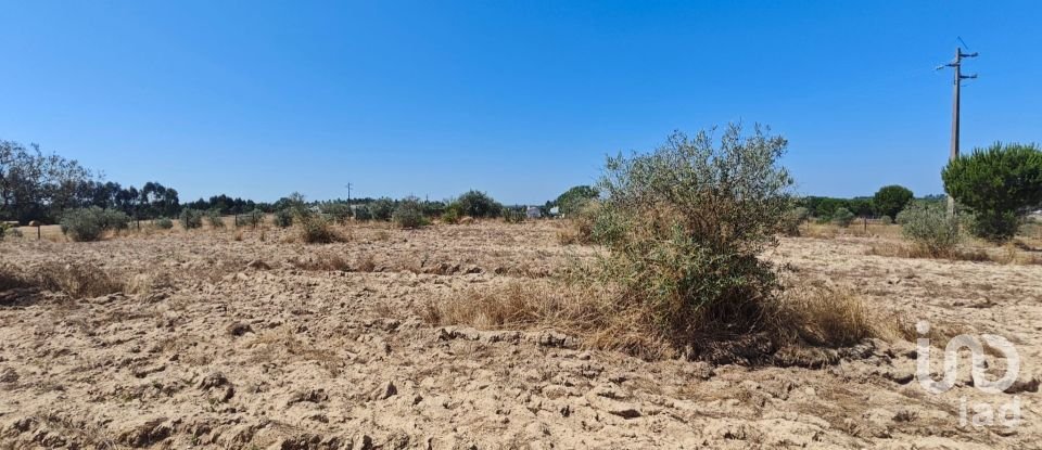 Terreno urbano em Branca de 7 020 m²