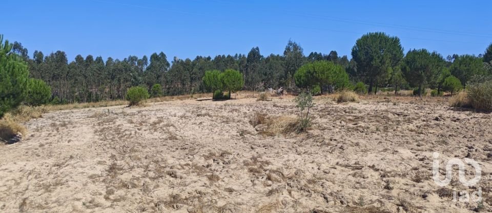 Terreno urbano em Branca de 7 020 m²