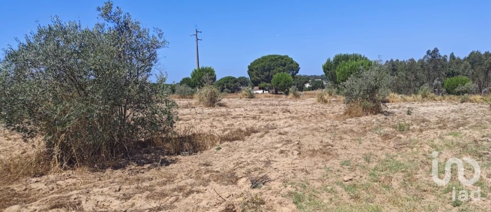 Terreno urbano em Branca de 7 020 m²