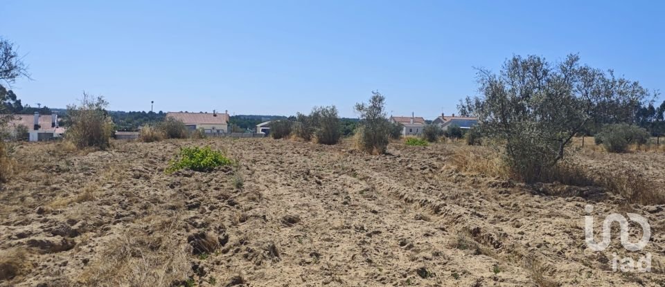 Terreno urbano em Branca de 7 020 m²