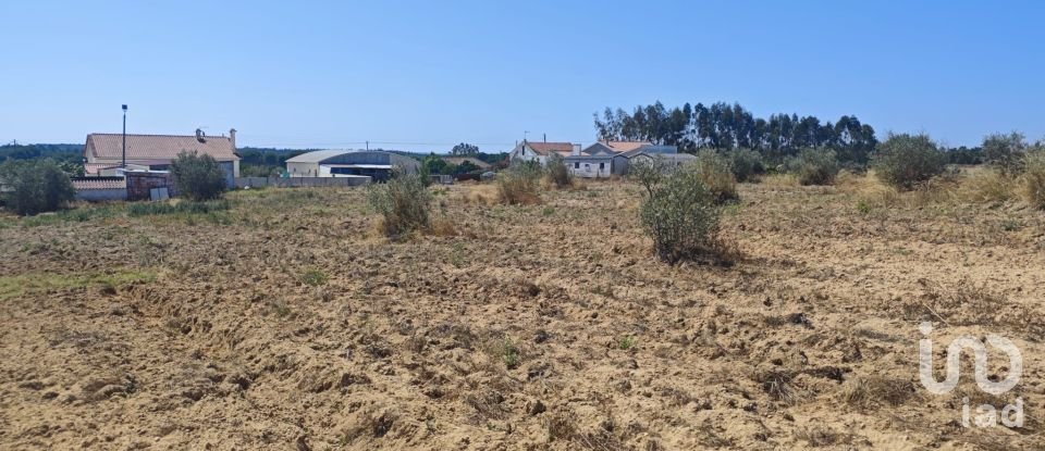 Terreno urbano em Branca de 7 020 m²