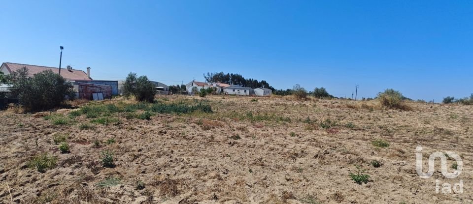 Terreno urbano em Branca de 7 020 m²