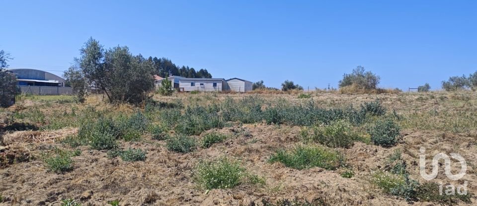 Terreno urbano em Branca de 7 020 m²