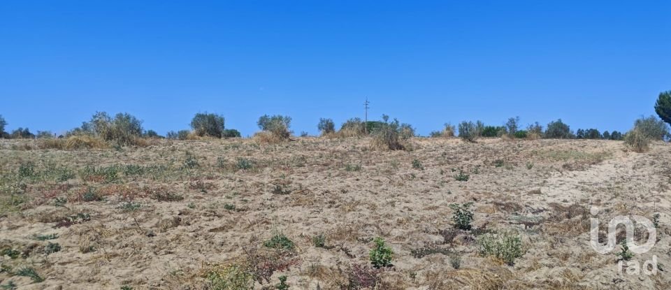 Terreno urbano em Branca de 7 020 m²