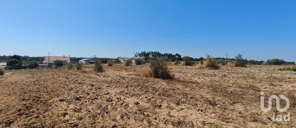 Terreno urbano em Branca de 7 020 m²