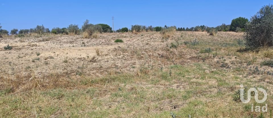 Terreno urbano em Branca de 7 020 m²