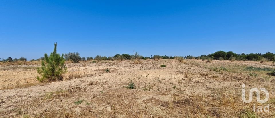 Terreno urbano em Branca de 7 020 m²