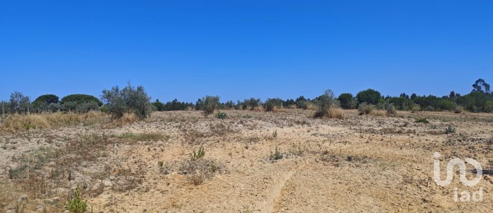 Terreno urbano em Branca de 7 020 m²