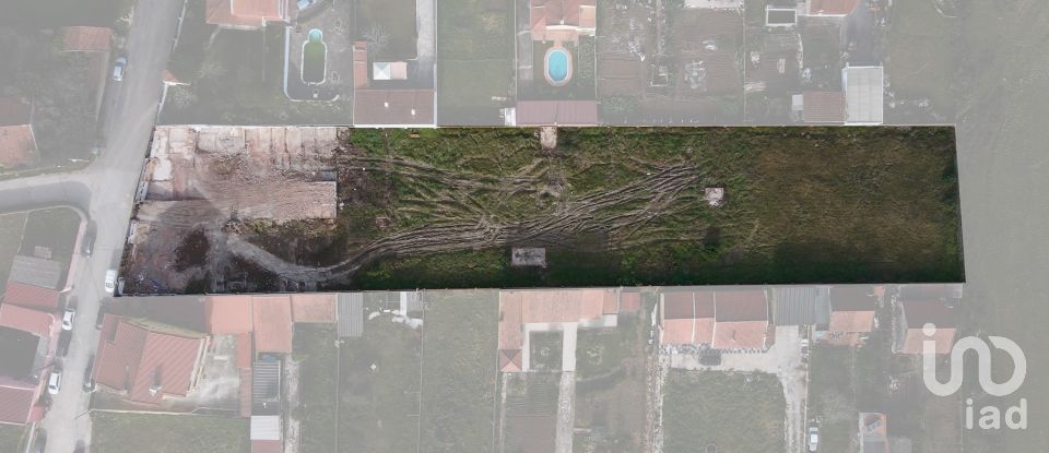 Terrain à bâtir à Almargem do Bispo, Pêro Pinheiro e Montelavar de 4 870 m²