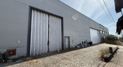Shop / premises commercial in Constantim e Vale de Nogueiras of 2,362 m²