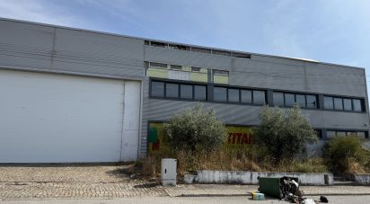 Shop / premises commercial in Constantim e Vale de Nogueiras of 2,362 m²