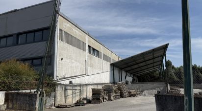 Shop / premises commercial in Constantim e Vale de Nogueiras of 2,362 m²