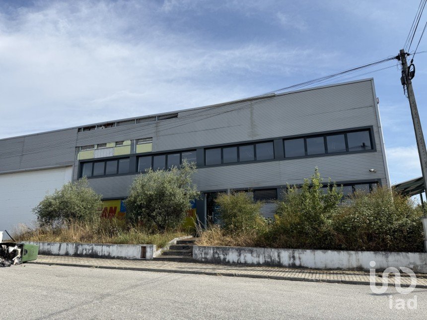 Loja / Estabelecimento Comercial em Constantim e Vale de Nogueiras de 2 362 m²