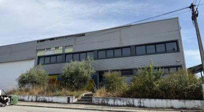 Shop / premises commercial in Constantim e Vale de Nogueiras of 2,362 m²