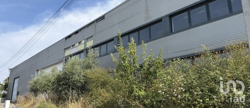 Loja / Estabelecimento Comercial em Constantim e Vale de Nogueiras de 2 362 m²